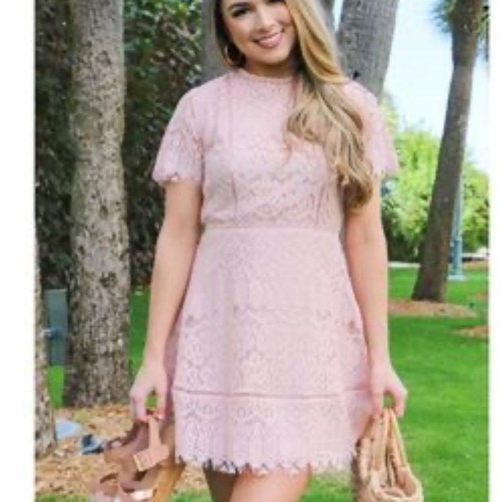August Sky Elegant Mauve  Lace Dress